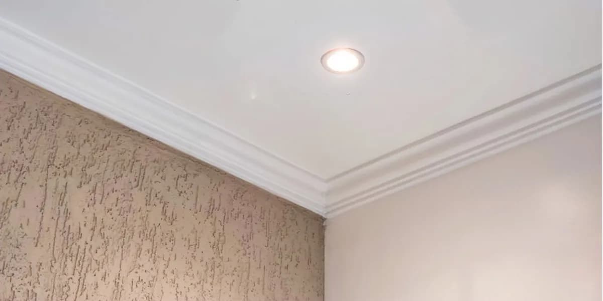 Mengenal Jenis-Jenis Lis Plafon